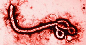 jonathon_offt_ebola